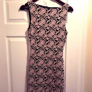 Lace Alice and Olivia Dress